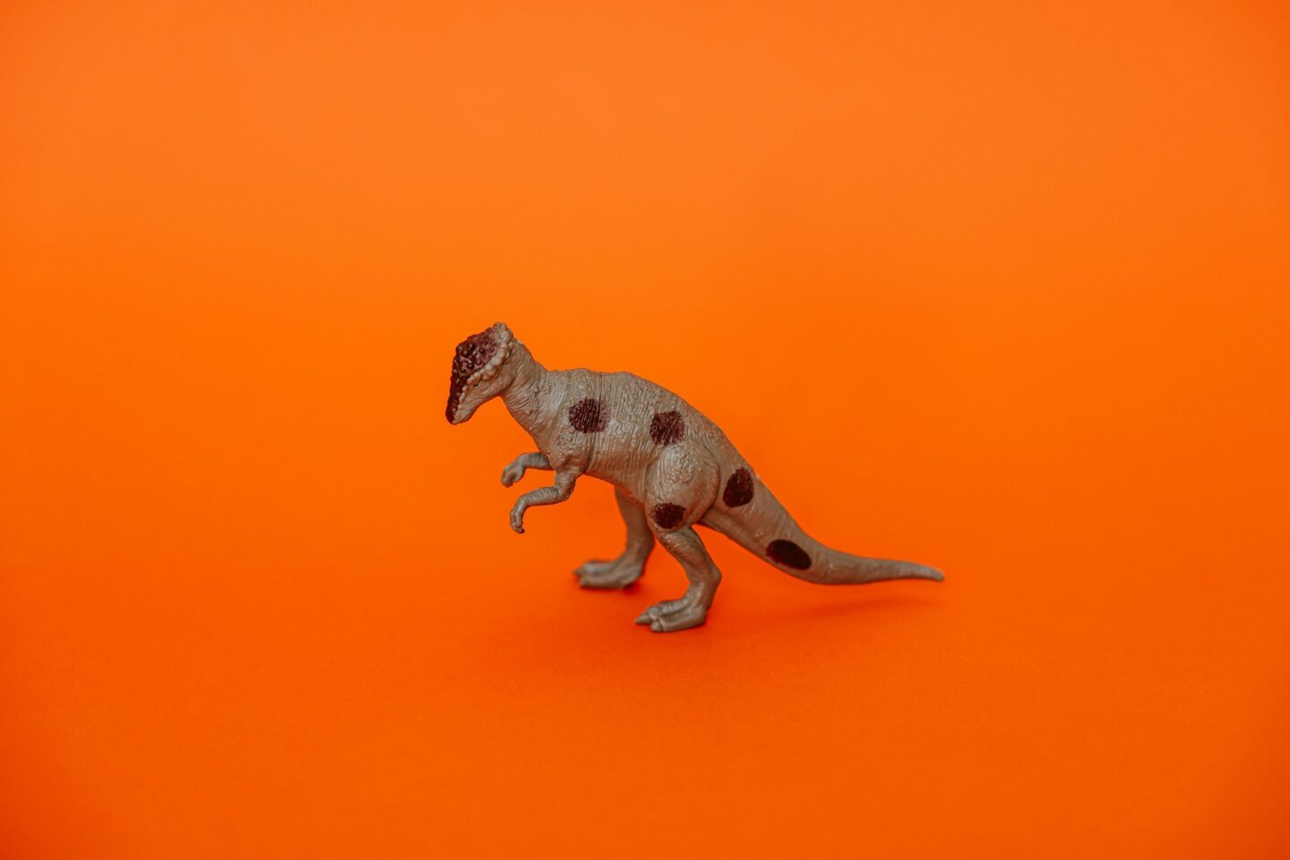 Pachycefalozaury jako niezwykłe dinozaury o grubych czaszkach i tajemniczym zachowaniu